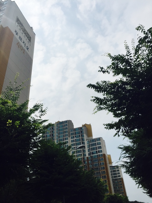 청주개신푸르지오