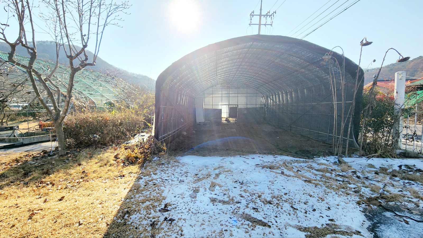 전원주택